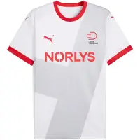 Puma Danish Handball Federation 2025 Away Jersey Men, Clothing, White/Cool Light Gray, XXL