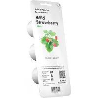 EMSA Click and Grow - Smart Garden Refill 3-pack - Wild Strawberry (SGR24X3)