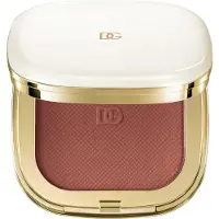 Dolce&Gabbana Cheeks&Eyes Match Lasting Blush & Eyeshadow Powder 06 Playful Rosewood