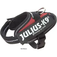 Julius-K9 Idc Power Baby Hundesele