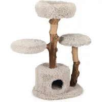 Designed By Lotte Ziza Cats Scratcher