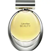 Calvin Klein Beauty EDP - 100 ml