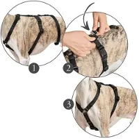 Hunter Vario Rapid Hundesele