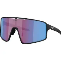 Bliz P001s Solbriller