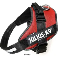 Julius-K9 Idc Power Hundesele