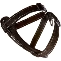 EzyDog Hunde Sele I Neopren