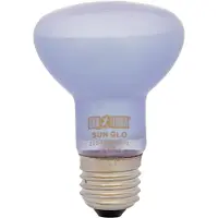 Exo Terra Daylight Basking Spot pære R20/75W