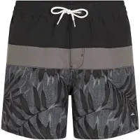 O'Neill Cali Block 15'' Boardshorts svart