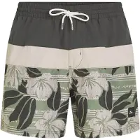 O'Neill Cali Block 15'' Boardshorts grønn