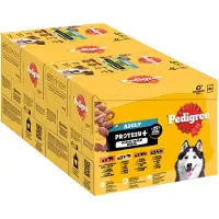Pedigree Adult Porsjonsposer Protein Plus i gelé - Sparepakke: 48 x 85 g (4 varianter)