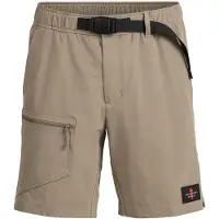 The Mountain Studio Field Shorts