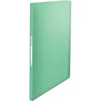 Esselte Colour'Breeze Display Book with 60 pockets Green