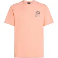 O'Neill Retro Graphic T-skjorte rosa