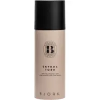 Björk Skydda Torr 200 ml
