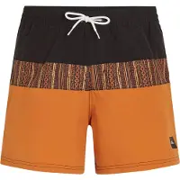 O'Neill Cali Block 15'' Boardshorts oransj
