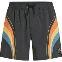 O'Neill O'Riginals Longboard 15" Boardshorts svart