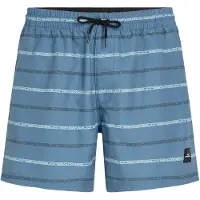O'Neill Cali First 15'' Boardshorts blå