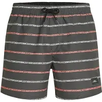 O'Neill Cali First 15'' Boardshorts grå