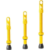 Syncros Tubeless Ventiler