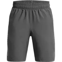 Under Armour Woven Wordmark Shorts
