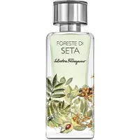Salvatore Ferragamo Foreste Di Seta 100ml Eau De Parfum