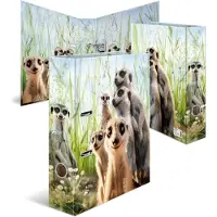 Herma 20048, A4, D-ring, Fotoark kartong, Flerfarget, 7 cm, Jekk