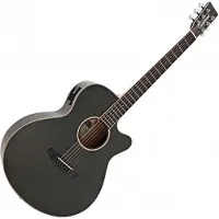 Tanglewood TW4EFG Winterleaf Green Gloss