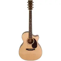 Martin GPC-16E w/ Fishman Matrix VT Enhance NT2