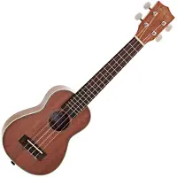 Kala KA-SLNG Mahogany Soprano Long Neck Ukulele Gloss