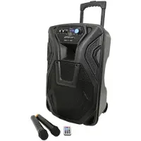 Qtx Busker 12 PA med VHF-mikrofoner Mediaspiller & Bluetooth