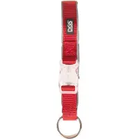 Dog Gone Smart Comet Dog Rechargeable Light Hundehalsbånd