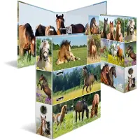 Herma 19251, A4, D-ring, Oppbevaring, Fotoark kartong, Flerfarget, 7 cm