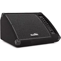 SubZero 200W 10" Aktiv Gulvmonitor