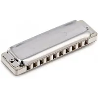 Seydel Harmonicas Seydel 1847 Silver Paddy Richter Harmonica D