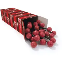 Percussion Plus Chime Bar Beaters Pack of 25