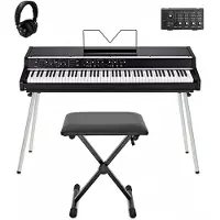 Viscount Organs Viscount Legend 70s Artist Modular Stage Piano