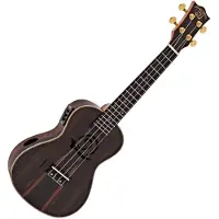 Snail UKC-E483EQ Concert Ebony Electro Acoustic Ukulele