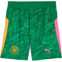 Puma Manchester City 25/26 Goalkeeper Shorts Men, Sport, Archive Green/Heat Fire, XS