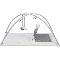 Trixie Klorematte For Kattunger 60x33x42 Cm