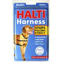 Company of animals Halti Hundesele