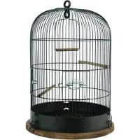 Zolux Retro Lisette Fuglebur