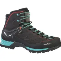 Salewa Mountain Trainer Mid Goretex Tursko