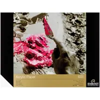 Royal Talens Acrylic colour paper | 24 x 32 cm, 400 g, 10 sheets