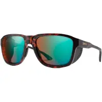Smith Embark Matte Tortoise Solbriller brun