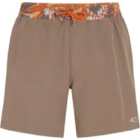 O'Neill Pocket Print 16" Boardshorts brun