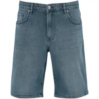 REELL Solid Shorts blå