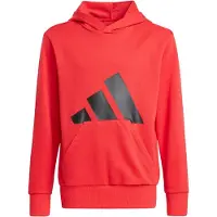 Adidas Essentials Big Logo Hettegenser
