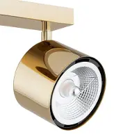 Argon Downlight Chloe justerbar, 2 lyskilder, stål messingfarget