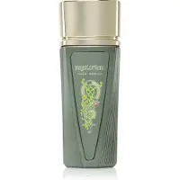 Paris Corner Mysterium Eau De Parfum 100 ml (man)