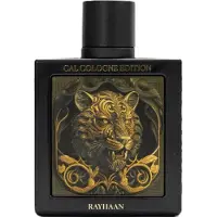 Rayhaan Tiger Eau de Parfum spray 100 ml